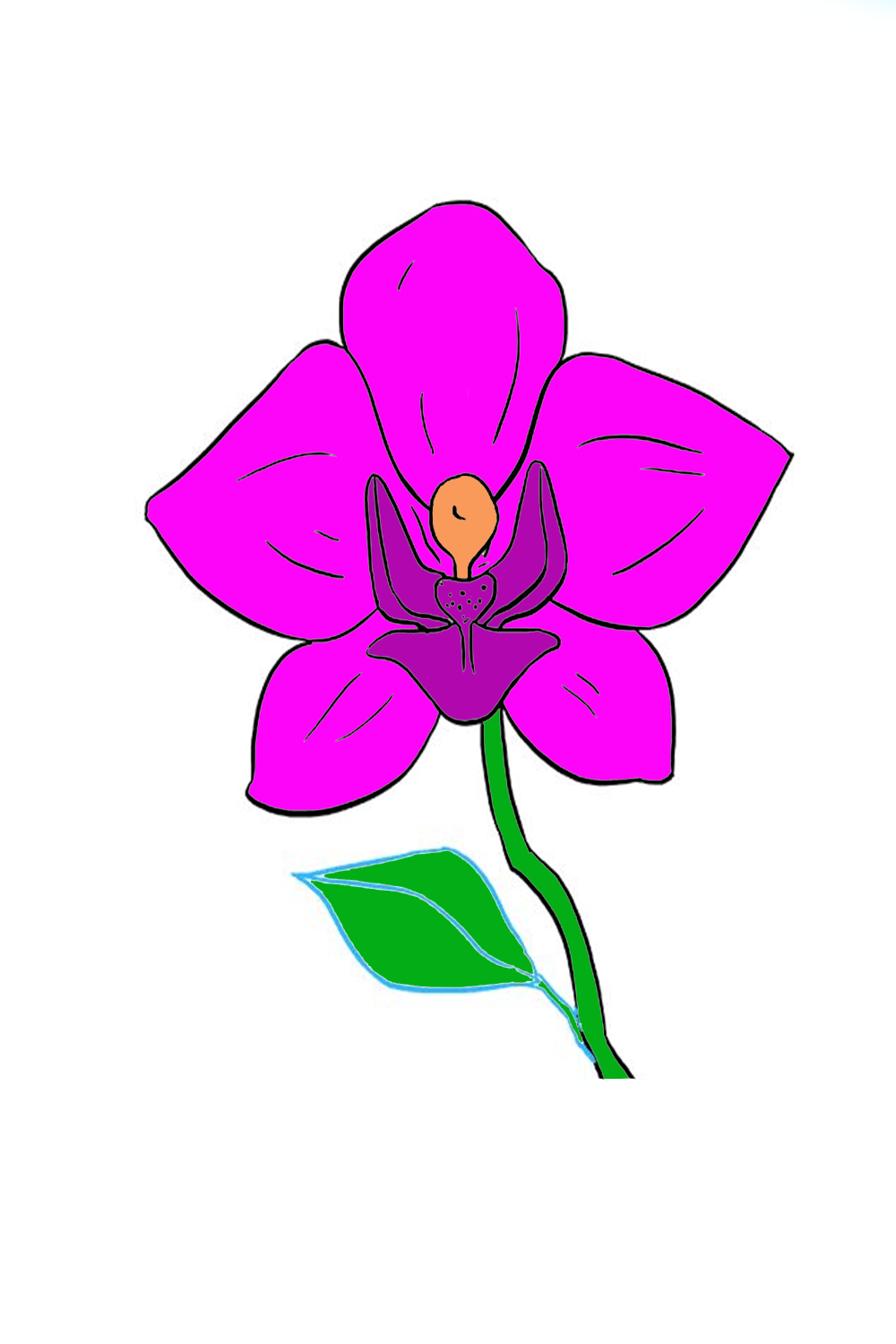 How to Darw Orchid Drawing